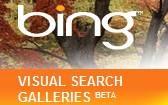 Bing Visual Search